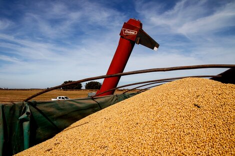 ¿Cómo le responderá al agro a Milei?