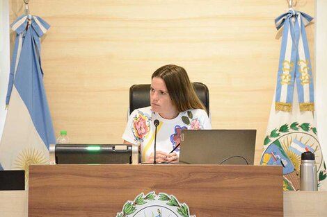 La iniciativa fue presentada por Caren Tepp, concejala de Ciudad Futura. 