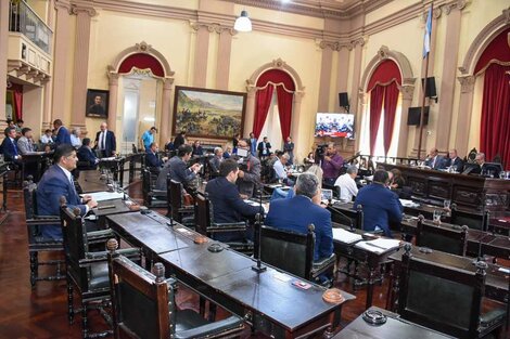 El Senado repudió el cierre de organismos nacionales y los despidos 