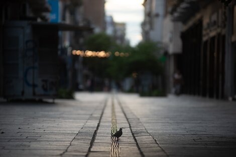 Lo más notorio durante todo el día fue la escasa cantidad de gente por la calle.