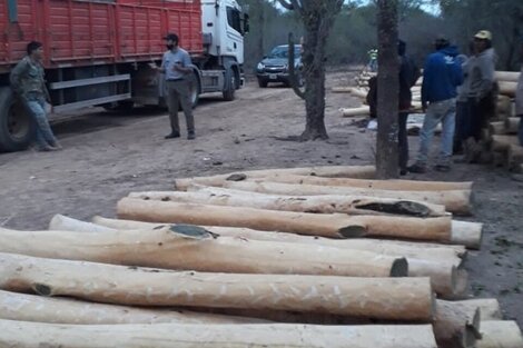 Se quiebra la industria de la madera: caen las ventas y crecen los despidos