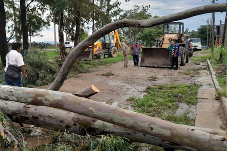 Las lluvias siguen provocando destrozos en el norte argentino 