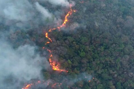 Más de mil incendios forestales en Paraguay
