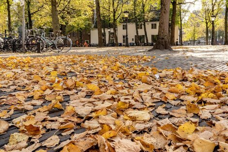 Termina el verano y comienza el otoño: qué condiciones meteorológicas se esperan