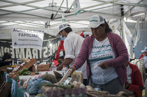 Agricultura familiar: cómo impactará el cierre del INAFCI en las economías campesinas