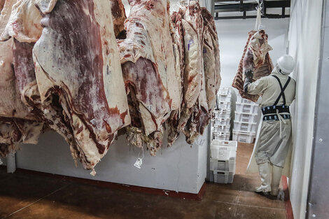 Cae el consumo de carne y crece la exportación