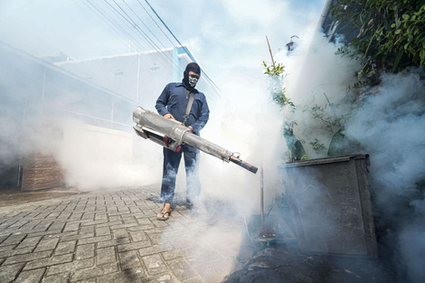 Perú convoca a un "fumigatón" contra el dengue