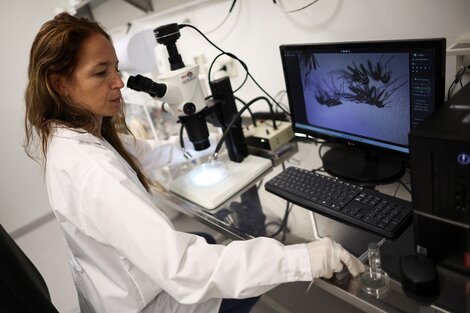 En medio de un brote histórico de dengue, San Juan anunció la primera muerte por la enfermedad