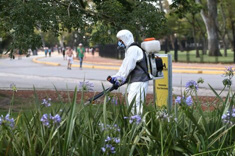 El proceso de fumigación se denomina "bloqueo de casos". 