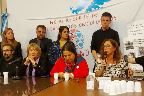 Los representantes de las asociaciones demandantes ofrecieron una conferencia de prensa con el apoyo de legisladores.