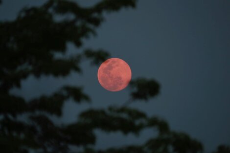 Fases de la Luna 2024: cuándo observar la próxima Luna Llena en Argentina