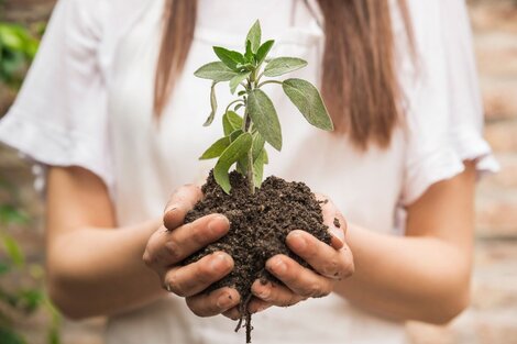 Día de la Tierra: 3 consejos para que los chicos aprendan a cuidar el planeta