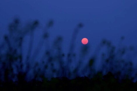 Luna llena del 23 de abril: por qué se llama Luna Rosa