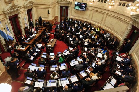 El oficialismo hace números en el Senado para la aprobación de la Ley Ómnibus (Fuente: NA)