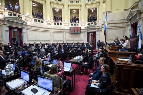 Punto por punto: qué se pone en juego en la discusión por la Ley Bases en el Senado