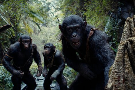"El planeta de los simios: nuevo reino": lucha fratricida por el poder