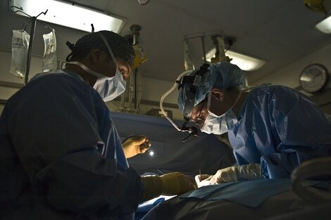 Murió el paciente que recibió el primer trasplante de riñón de cerdo genéticamente modificado