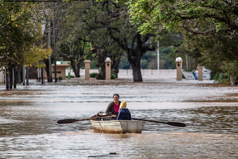 Una 550 personas fueron evacuadas en Concordia por la crecida del río Uruguay (Fuente: EFE)