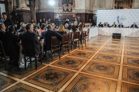 La ley Bases no logra hacer pie en el Senado (Fuente: Guadalupe Lombardo)