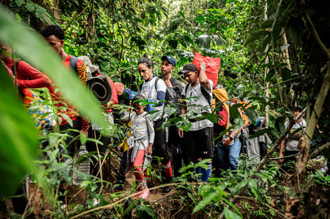 Crisis migratoria: más de 30.000 niños cruzaron la selva del Darién en lo que va del año (Fuente: Médicos sin froteras)