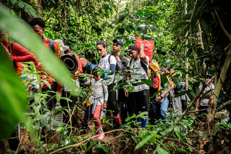 Crisis migratoria: más de 30.000 niños cruzaron la selva del Darién en lo que va del año