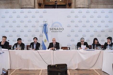 El debate en las comisiones de Presupuesto, Legislación General y Asuntos Constitucionales.