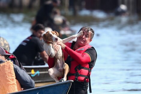 Voluntarios rescatan a un perro en una inundación en el río Gravataí, en el barrio de Matias Velho, en Canoas, norte de Porto Alegre