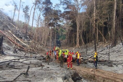 Las altas temperaturas agravan los incendios forestales en Guatemala  (Fuente: Defensores de la Naturaleza Guatemala)