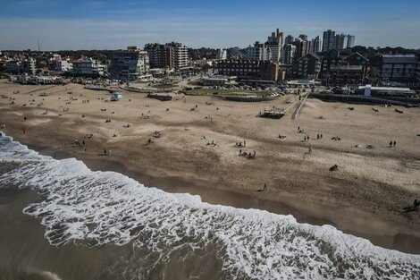 Aparecieron dos ballenas muertas en la Costa bonaerense: investigan qué pasó