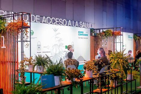 Expo Cannabis 2022: venta de semillas legales, cursos de cocina, cosmética y productos medicinales