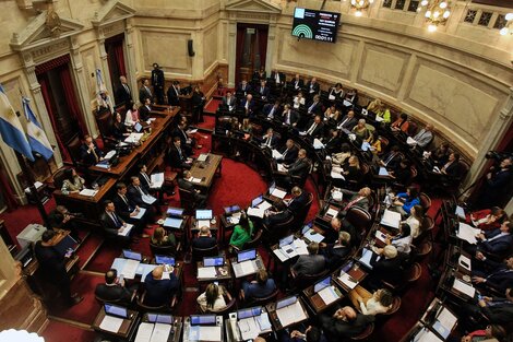 El debate en el recinto de la Cámara de Senadores sería el 12 o 13 de junio. (Fuente: NA)