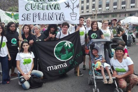 Mamá Cultiva está en riesgo