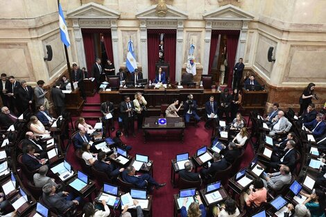 Qué es la Ley Bases, el dictamen del Senado y cómo fue la votación en Diputados