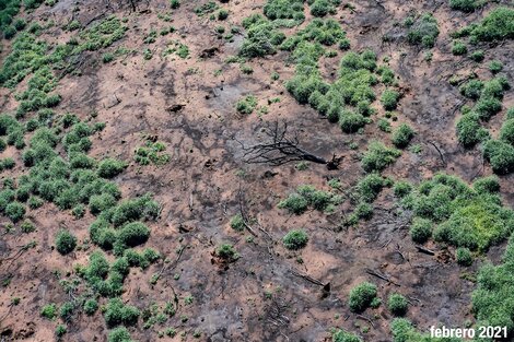 Salta prepara la autorización de 26 mil hectáreas de desmonte