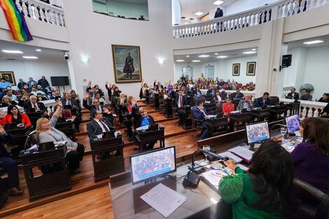 Avanza la reforma constitucional en La Rioja: paridad de género, renta básica universal y servicios básicos garantizados