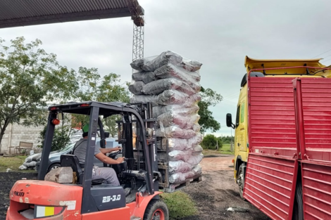 Pequeños productores exportaron carbón a España