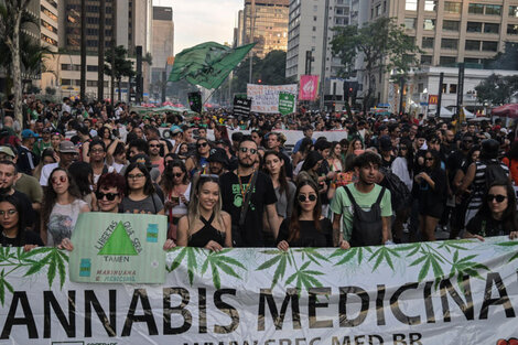 Brasil: la Corte Suprema avanza en despenalizar el consumo de marihuana