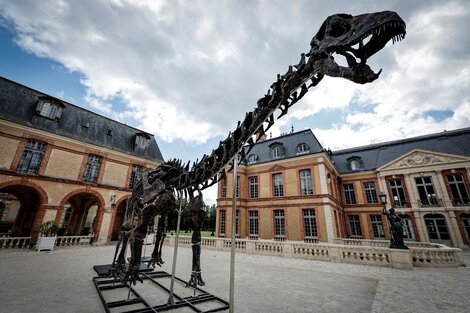 El fósil, bautizado Vulcain, se exhibe a partir de este sábado y hasta su subasta en el invernadero del castillo Dampierre-en-Yvelines, en las afuerad de París