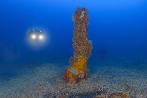Hallan un ancla de época romana del año 253 a.C. en el fondo del mar en el sur de Italia (Fuente: EFE)