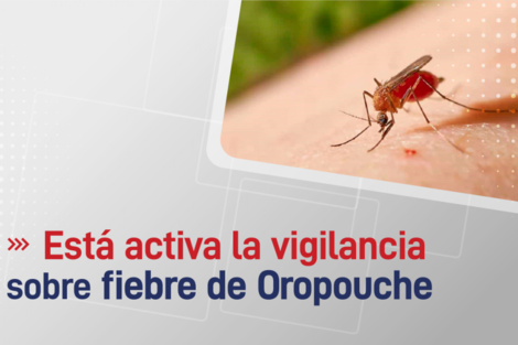Alerta en Salta por la fiebre de Oropouche