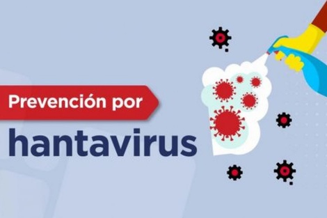 Detectan un nuevo genotipo de hantavirus en los Valles Calchaquíes