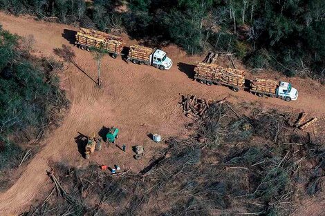 Los negocios agropecuarios arrasan el segundo pulmón verde de Sudamérica