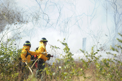 Alarma en Bolivia por 23.748 focos de calor y 8 incendios forestales activos