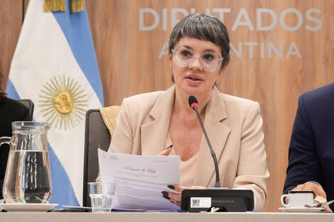 En la sesión de Diputados de mañana pedirán la expulsión de quienes visitaron a los genocidas