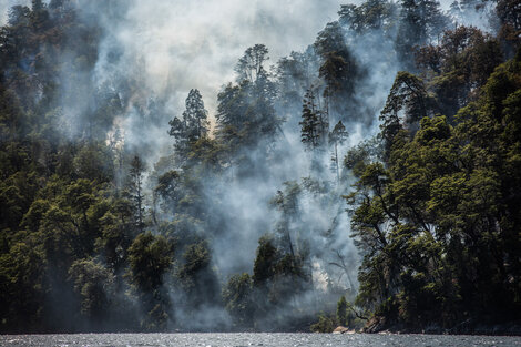 Incendios forestales: qué se espera para el verano y cómo se prepara el Gobierno