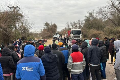 Cosecheros del limón denuncian salarios miserables y condiciones insalubres