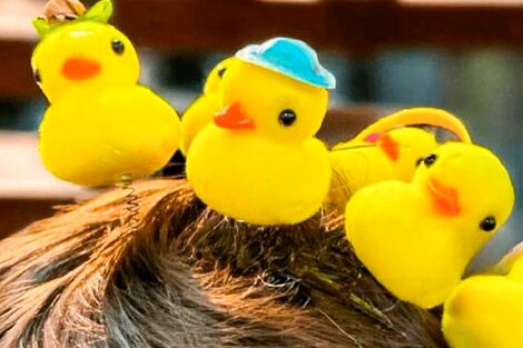 La moda de los patitos amarillos: del furor a la indiferencia total en pocos meses