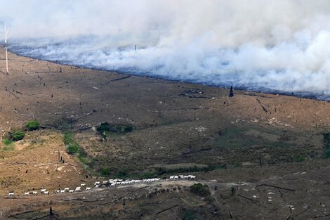 El humo de los incendios en la Amazonía llegó hasta el sur de Brasil