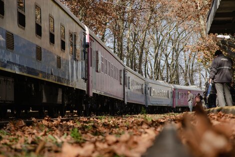 Trenes de larga distancia: salieron a la venta los pasajes de septiembre 2024