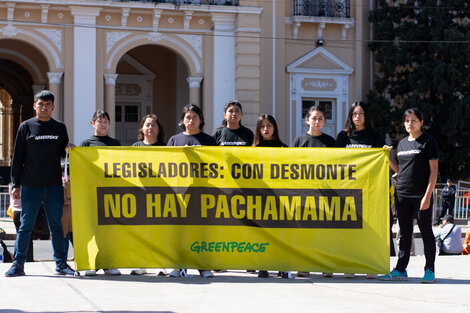 Denuncian que el nuevo ordenamiento de bosques tiene una “zona verde encubierta”